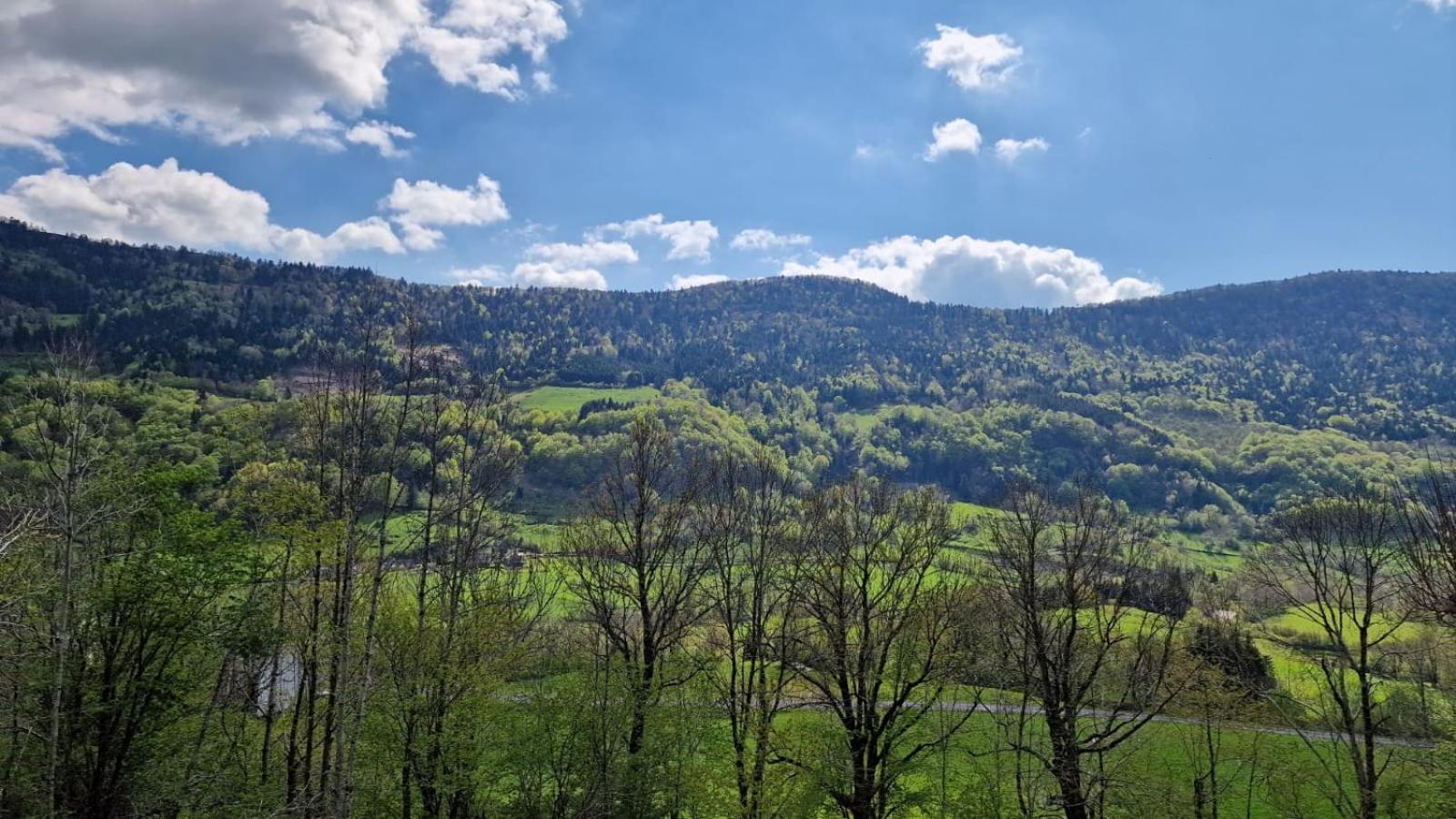 La Gentiane Bed & Breakfast Le Falgoux Dış mekan fotoğraf